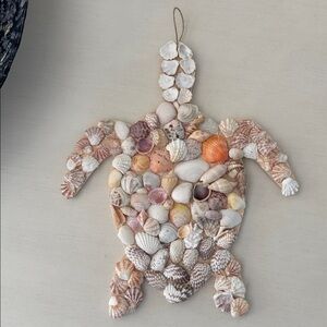 Coastal Seashell Sea Turtle